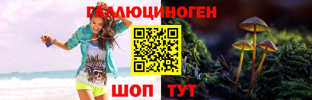 Галлюциногенные грибы GOLDEN TEACHER Грязи
